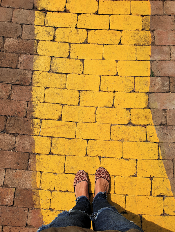 The Yellow Brick Road To Consulting At Caja